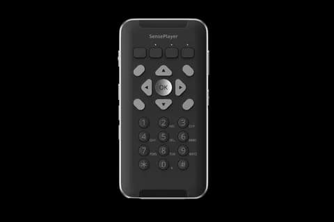 Тифлофлешплеер HIMS SensePlayer OCR