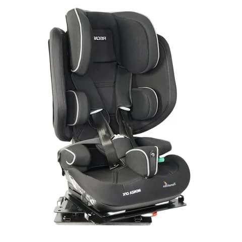 Детское автомобильное кресло Thomashilfen RECARO Monza CFX Reha Комплект