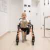Ортопедические ходунки MyWam Go.Spider - Thumbnail Image 50