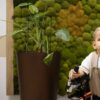Ортопедические ходунки MyWam Go.Spider - Thumbnail Image 55